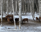 ©J. Leppmets. Soviet Tallinn, Estonia
