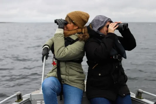 Visitors watching seals with binoculars during seal watching tour in Estonia