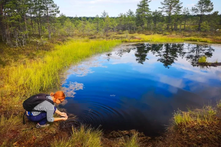 Person touching water in a small bog lake surrounded by wetlands in Lahemaa National Park.
