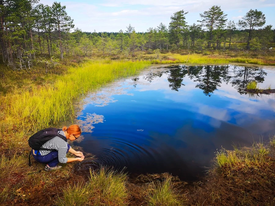 ©J. Leppmets - Visit Viru bog with  a local guide