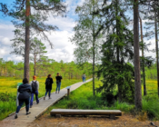 ©J. Leppmets - Visit Estonian bogs! Viru bog