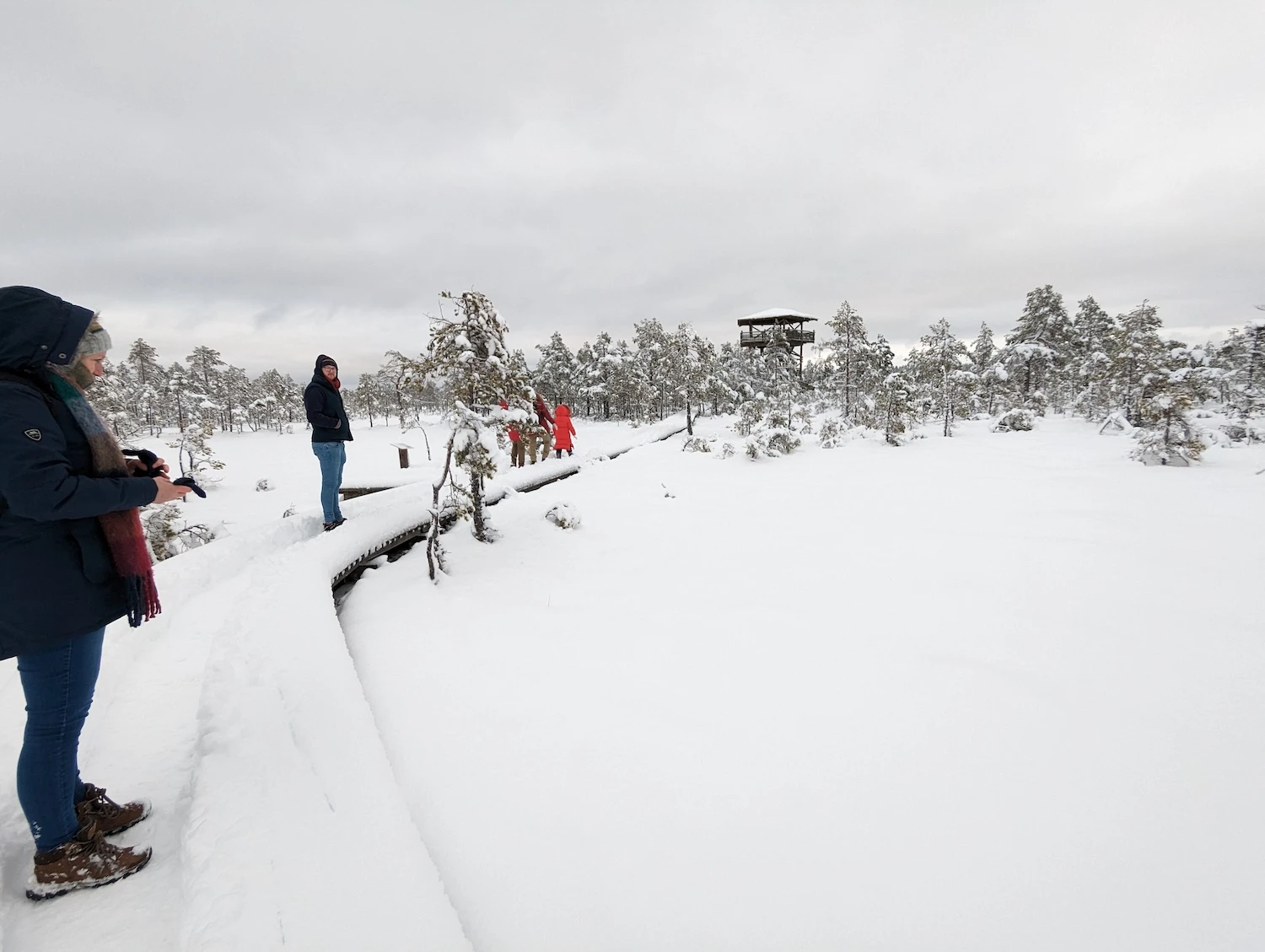 Visitors walking along a snowy boardwalk in Viru Bog Lahemaa National Park.