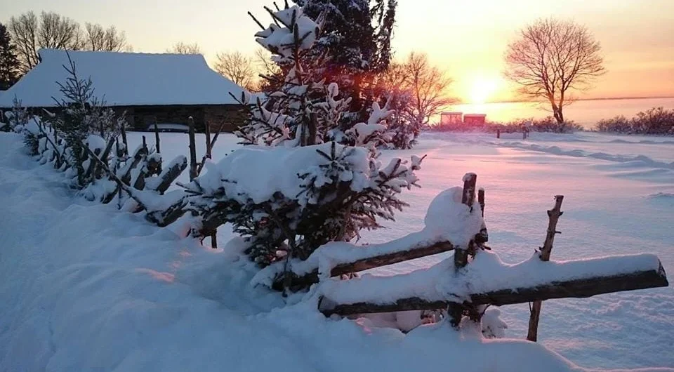 Rural Estonian winter sunset with snow-covered fields and a traditional wooden farmhouse at the Viimsi Open Air Museum.
