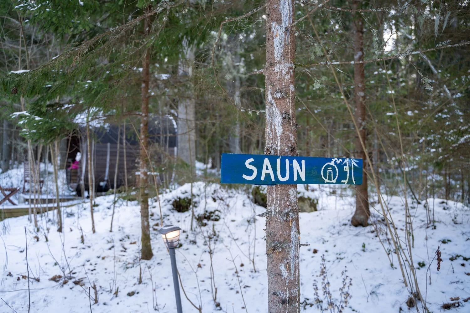 ©A. Teede. An active day out of Tallinn - bog-shoe hike!