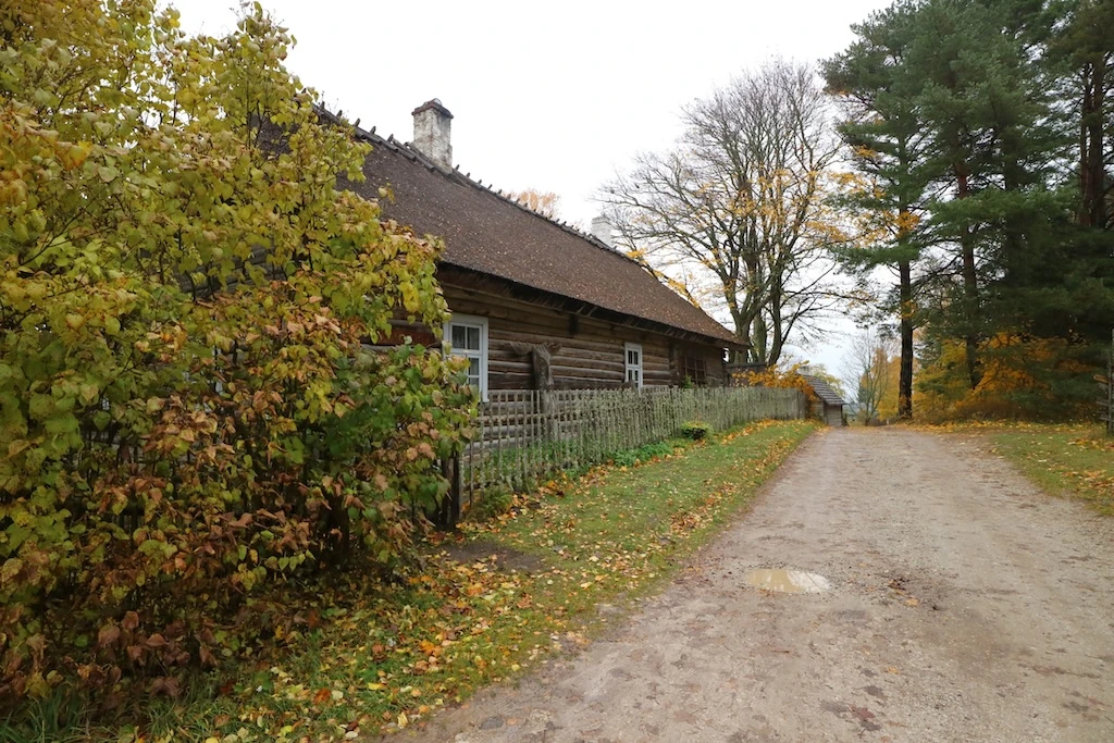 Traditional Estonian log farmhouse with a thatched roof among autumn trees